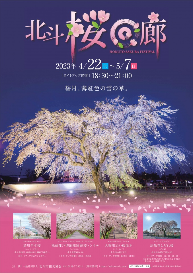 202304北斗桜回廊-01